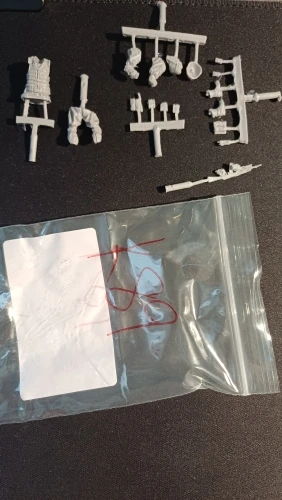 Buyer photo of this resin kit