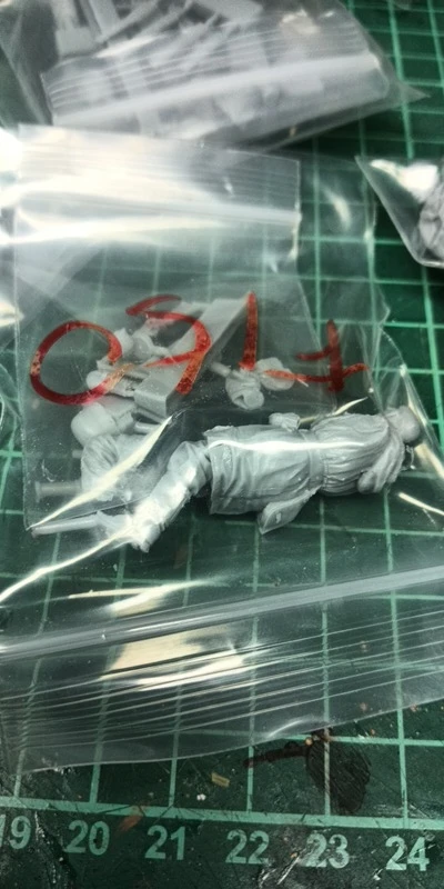 Buyer photo of this resin kit