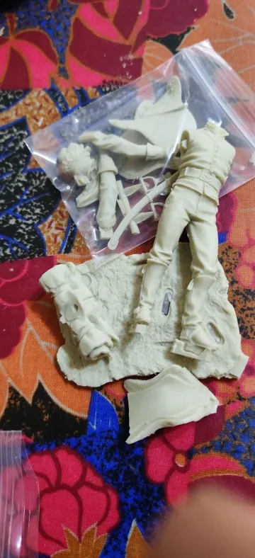 Buyer photo of this resin kit