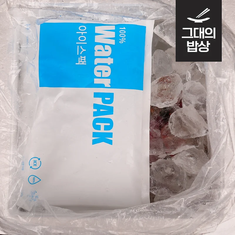 تونغ يونغ-سكالوب أحمر ، 1 ، 25 ميل