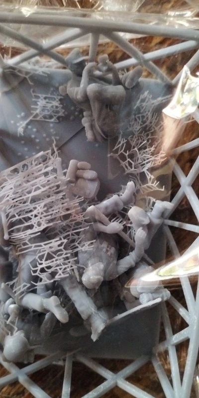 Buyer photo of this resin kit