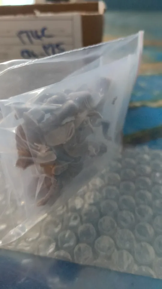 Buyer photo of this resin kit