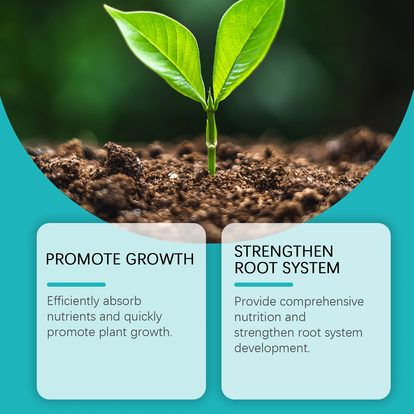 Moonspry 100 مللي الأسمدة السائلة المائية الورقة الخضراء زهرة النمو المغذيات الملحق الأسمدة النباتية محلول المغذيات