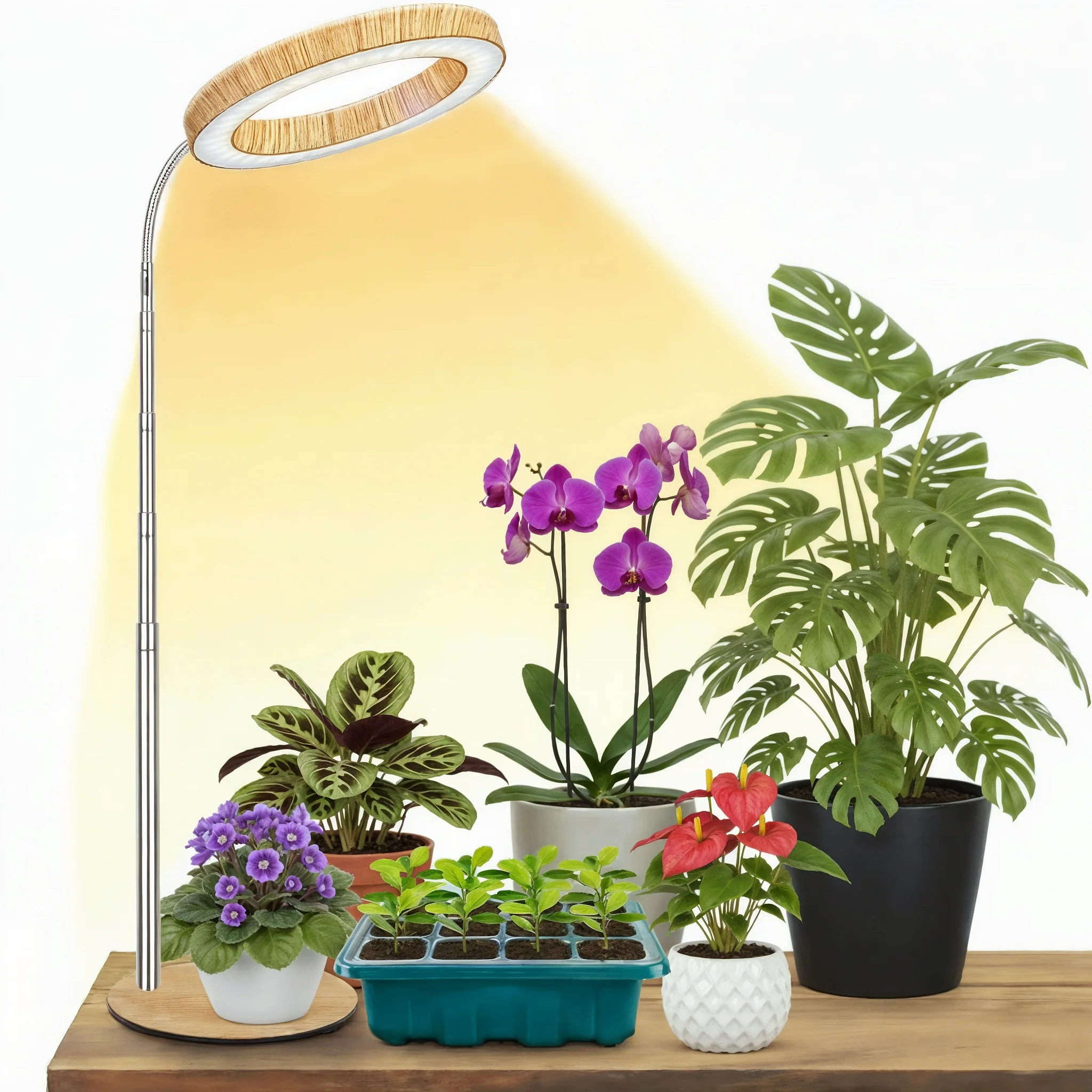 

USB Grow Lights for Indoor Plants with Base, 3/9/12H Timer,3 Color Modes, 7.8"-39" Height Adjustable Wood Grain Plant Growing