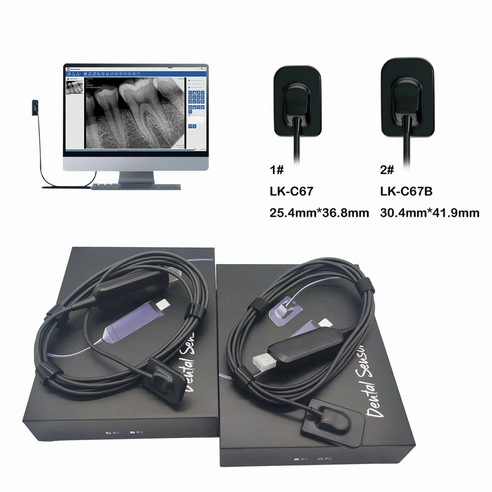 Digital Dental X Ray RVG Sensor Medical DynImage Intraoral System Intra-Oral Include Software X-ray Sensor