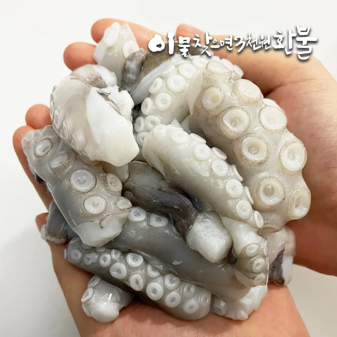 손질 왕특대(XXL) 낙지 900g(450g×2팩)｜낙지볶음(자갈치비법소스2봉)