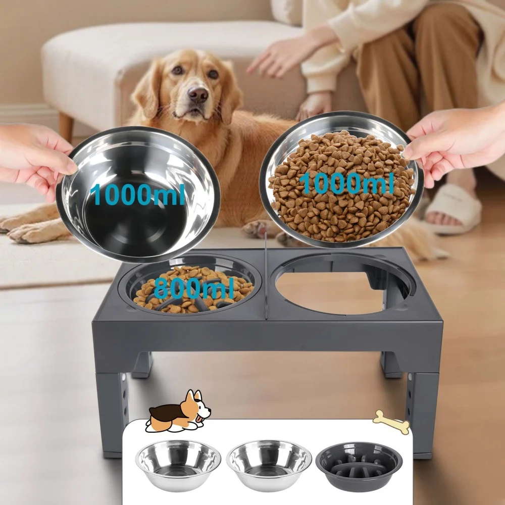 Double gamelle pour chien