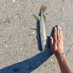 Imagen de reseña 2