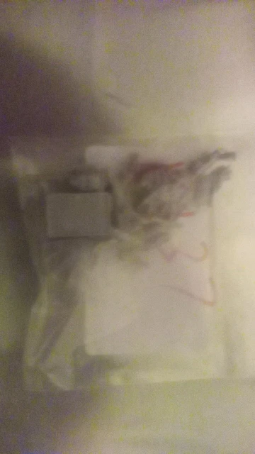 Buyer photo of this resin kit