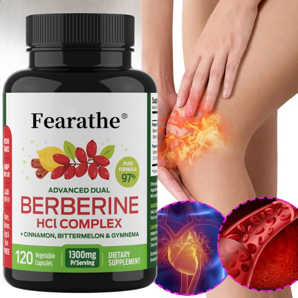 Berberine HCl with Ceylon Cinnamon 120 Capsules Vegetarian Supplement Gluten Free Non GMO for Digestive