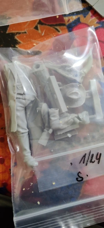 Buyer photo of this resin kit