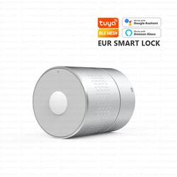 Euro Tuya Remote Unlock Secure Interior Smart Fingerprint Lock No Cylinder Intelligent Tuya for Woden Door