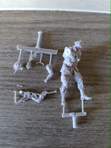 Buyer photo of this resin kit