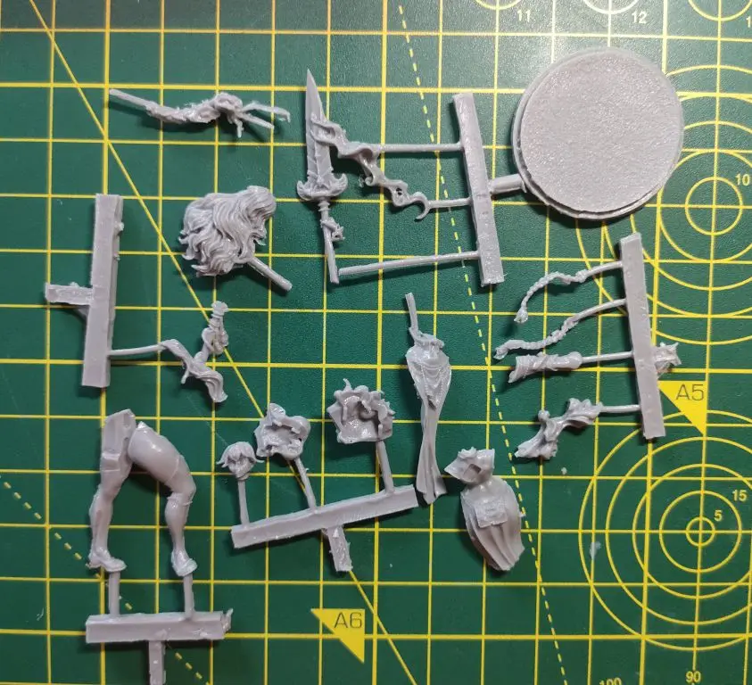 Buyer photo of this resin kit