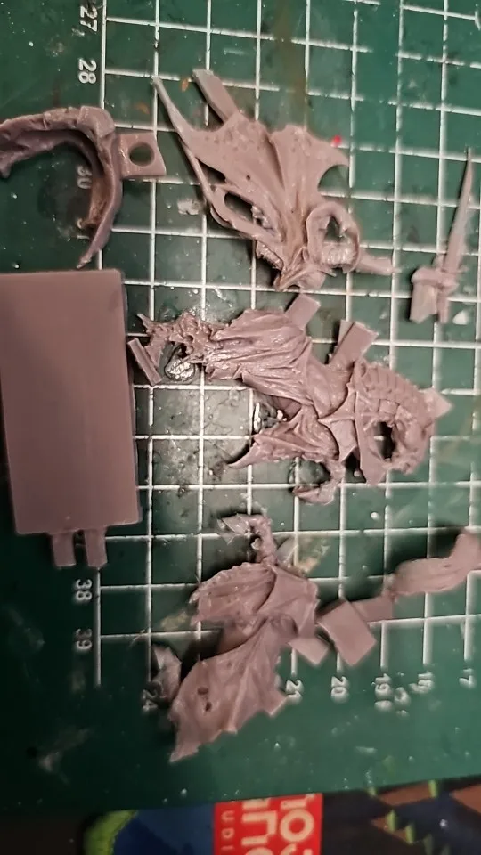 Buyer photo of this resin kit