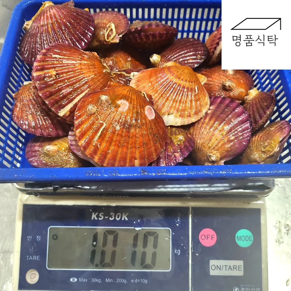 (Comparing with Janjanbari!) Tongyoung red scallops Salways 1kg (around 20 US)