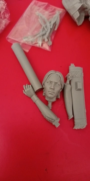 Buyer photo of this resin kit