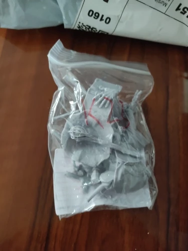 Buyer photo of this resin kit