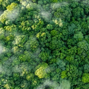 

ВЫСОКАЯ МОЩАЯ 2000 Вт инструмент для удаления волос, косметический инструмент, ледяной титан, безболезненное устройство 808 755 1064, диодный лазерный аппарат для удаления волос