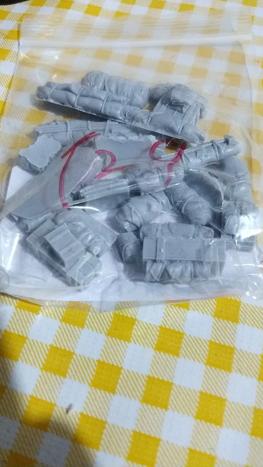 Buyer photo of this resin kit