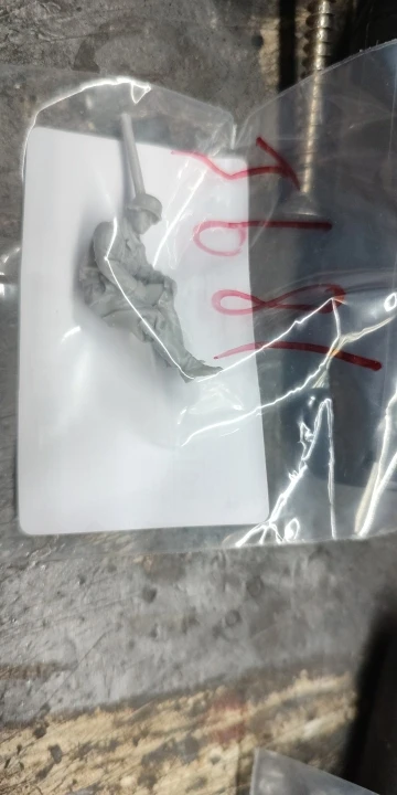 Buyer photo of this resin kit