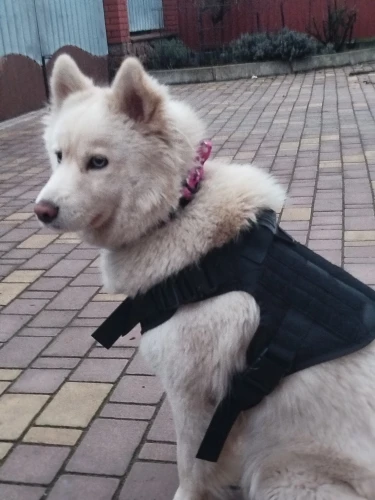 구매후기