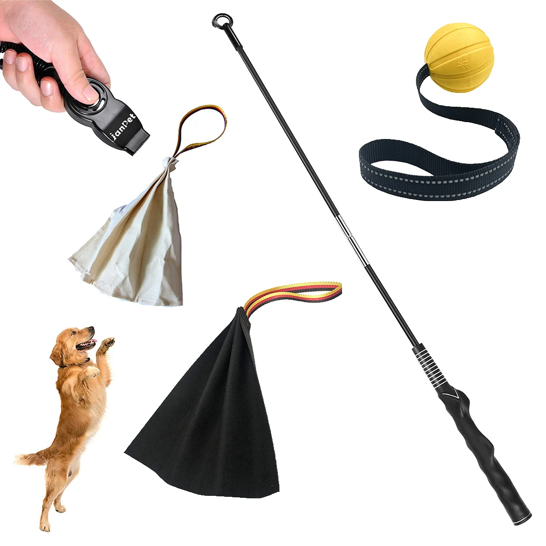 Interactive Dog Flirt Pole 1