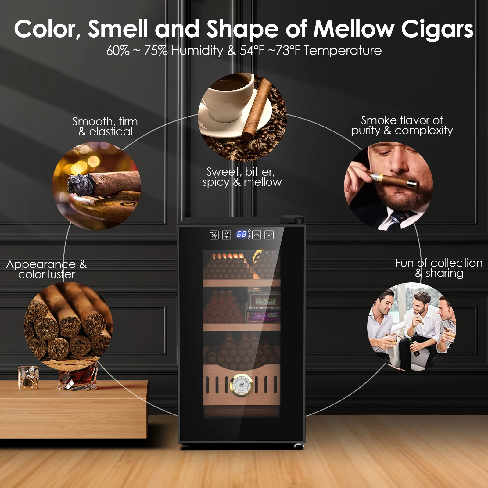 25L Thermostaatgestuurde Elekt - Wine Beer Fridge Cabinet recensie en prijs