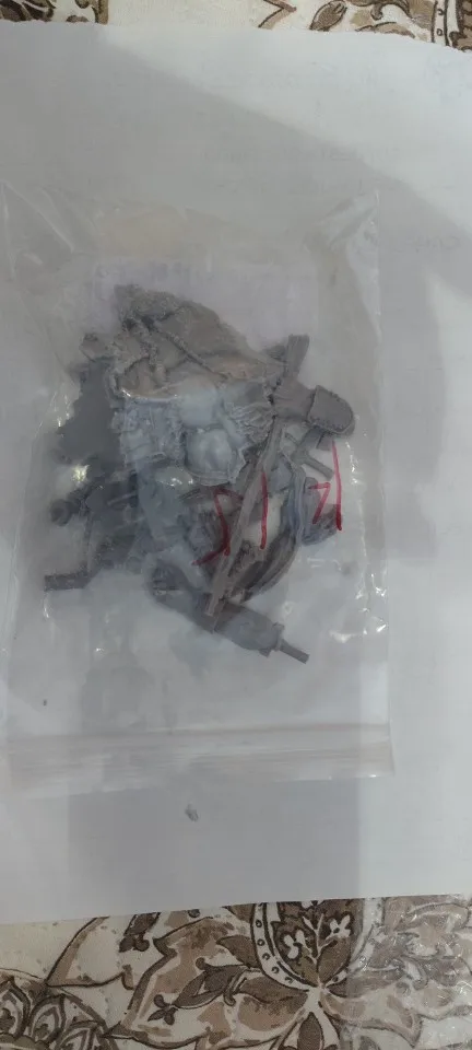 Buyer photo of this resin kit