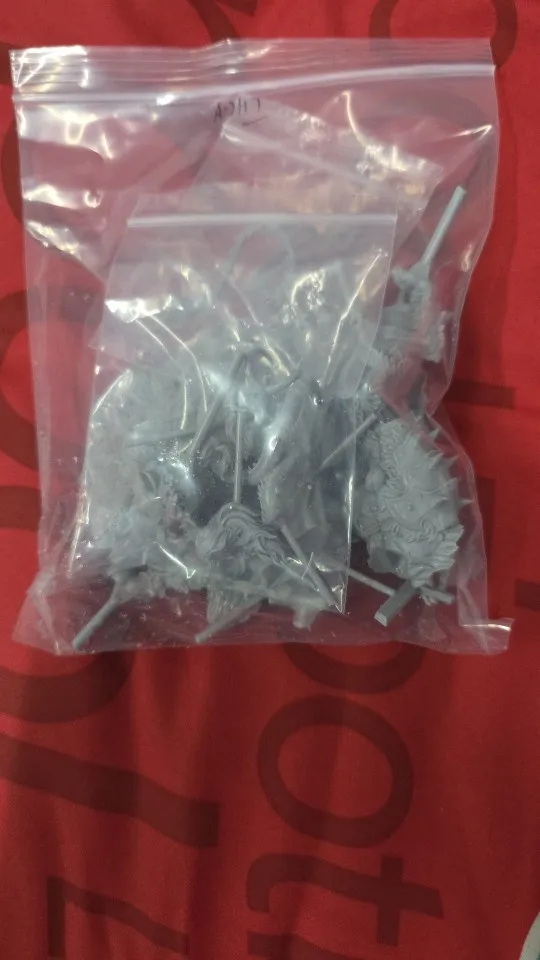 Buyer photo of this resin kit