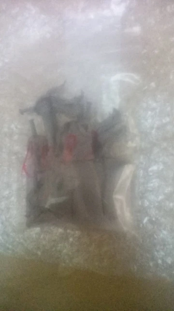 Buyer photo of this resin kit