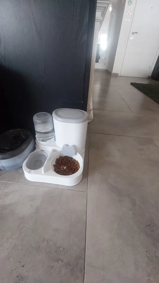 Customer review photo for Dual-Bowl Automatic Cat Feeder for Two Pets