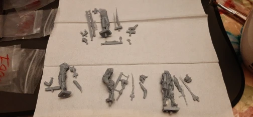 Buyer photo of this resin kit