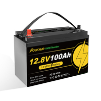 KMW Thunder 12V 100Ah LiFePO4 Battery (1280Wh) with Low-Temp BMS Protection, 4500+ Cycles for Motorhome/Solar/Camping