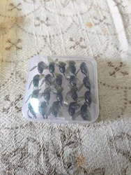 Imagen de reseña 2