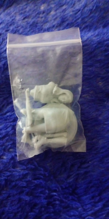 Buyer photo of this resin kit