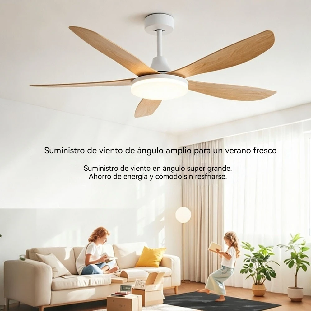 Imagen 7