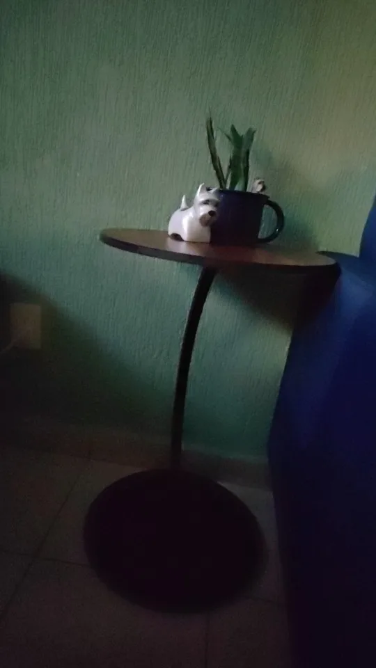 리뷰 사진