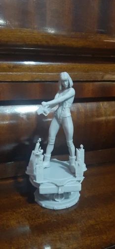 Buyer photo of this resin kit