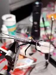 Imagen de reseña 1