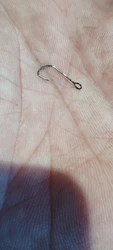 Imagen de reseña 4