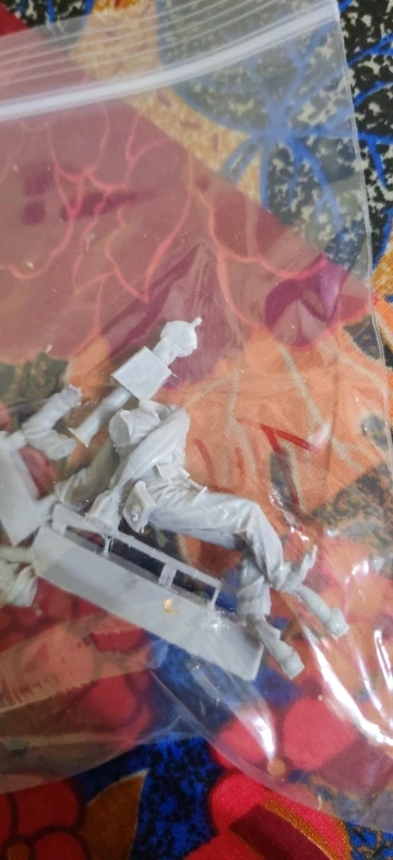 Buyer photo of this resin kit
