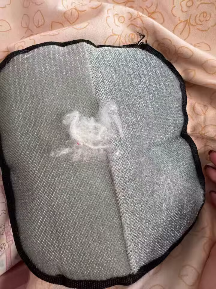 Loose pet hair collected during grooming