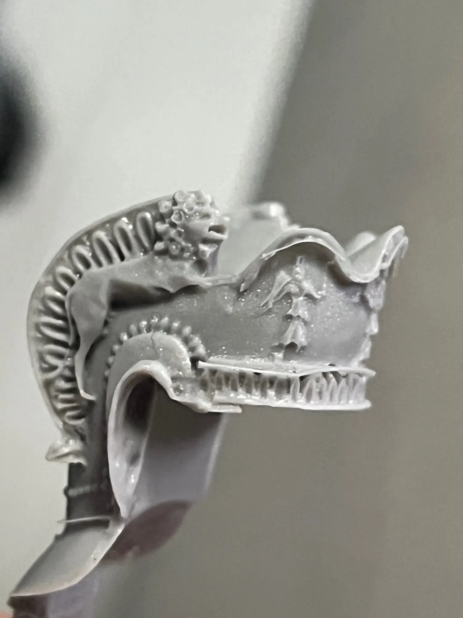 Buyer photo of this resin kit