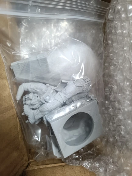 Buyer photo of this resin kit