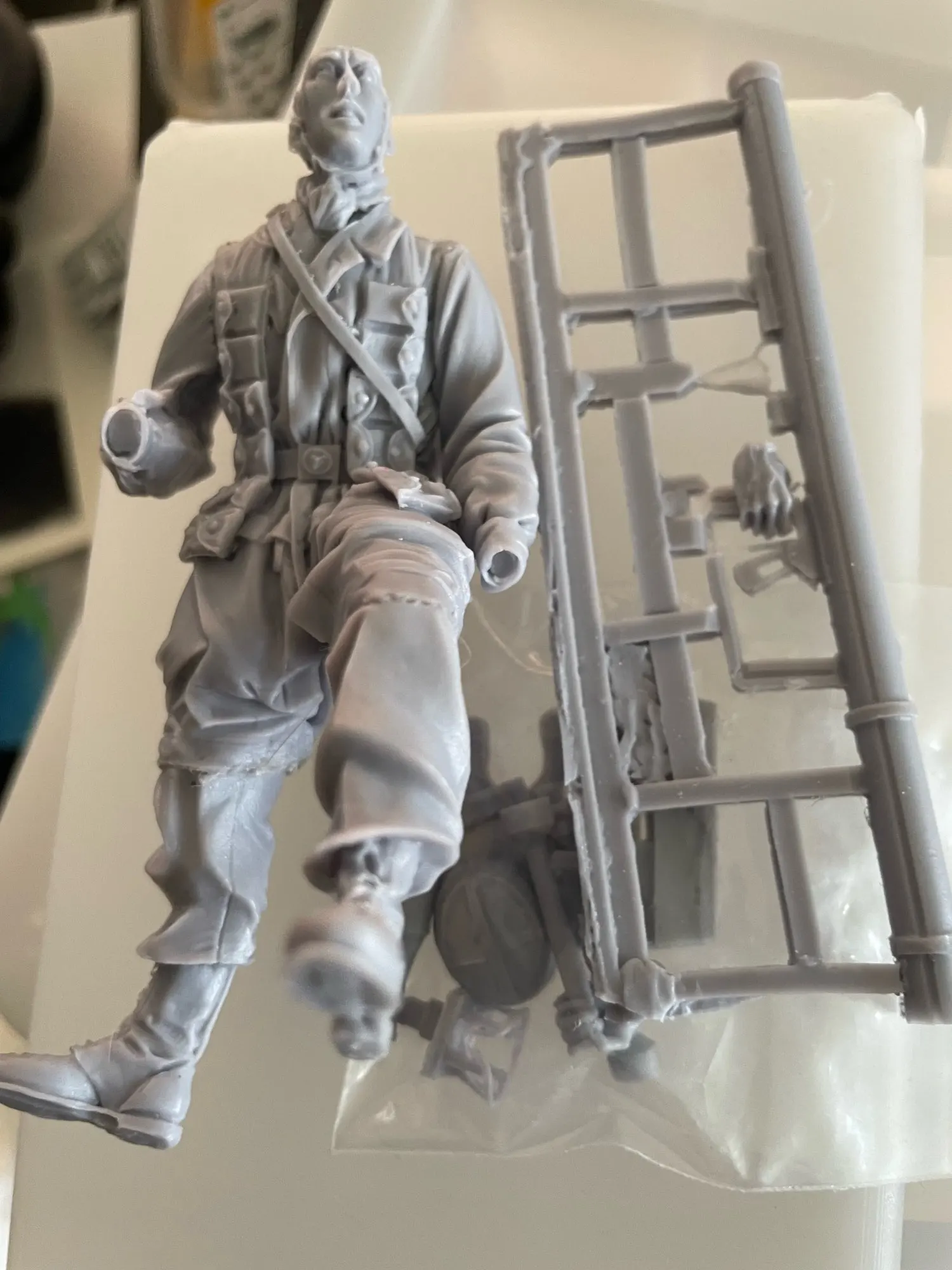 Buyer photo of this resin kit