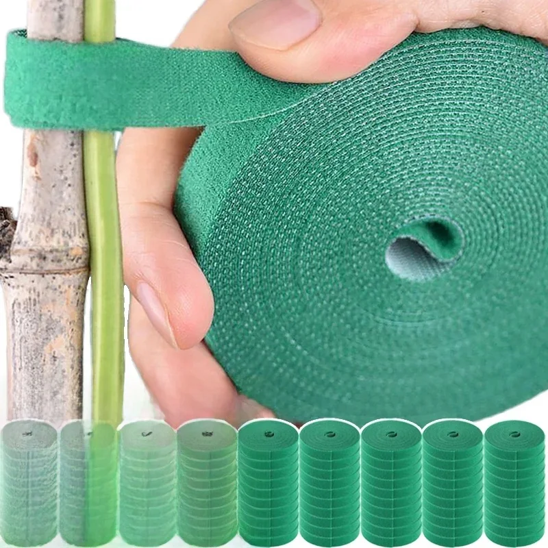 Bande de Support pour plantes en Nylon, attache de câble de fixation auto-adhésive pour plantes de jardin, plantes réutilisables
