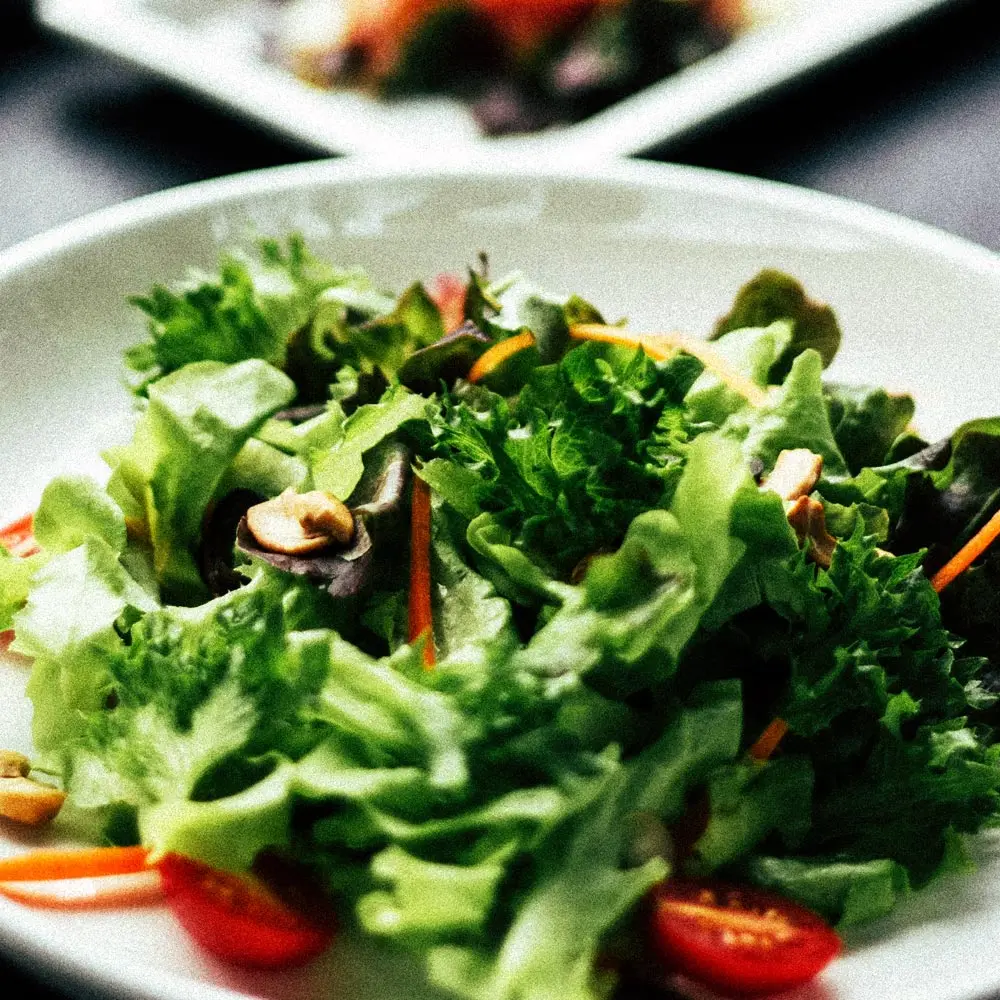 [السلطة العضوية] السلطة العضوية الأوروبية 6-8 أنواع من الزبدة والخس والخس الروماني 1 كجم