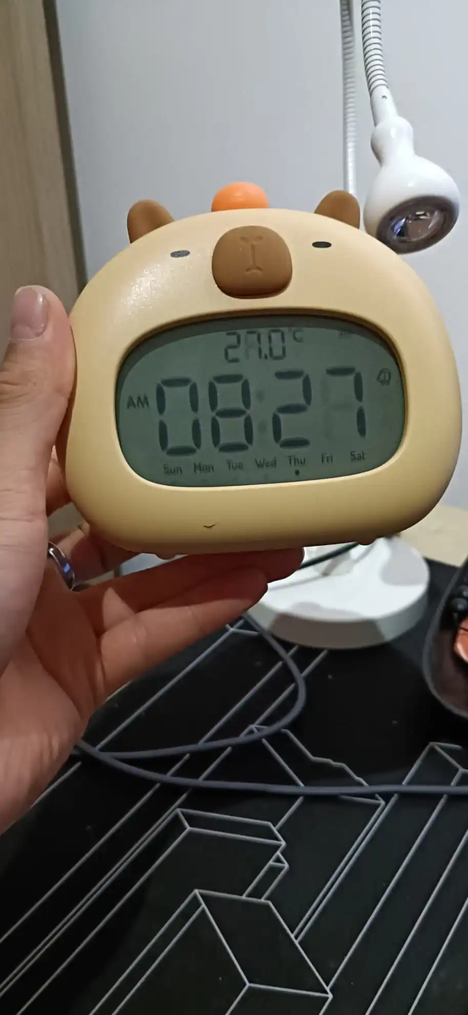 실물 포토 리뷰