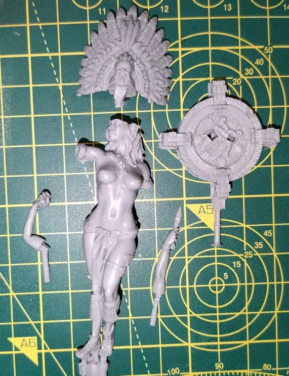 Buyer photo of this resin kit